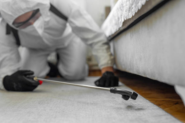 Professional Bed Bug Control technician working in Des Moines, IA