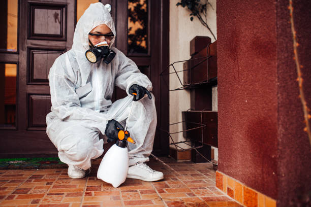 Reliable Bed Bug Control contractor in Des Moines, IA by Nex Pest Control